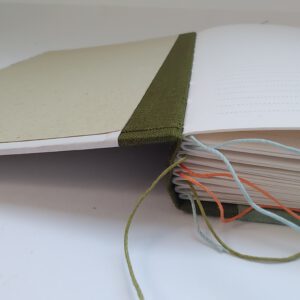 GILDE book, longstitch, The Netherlands heat map - Afbeelding 4