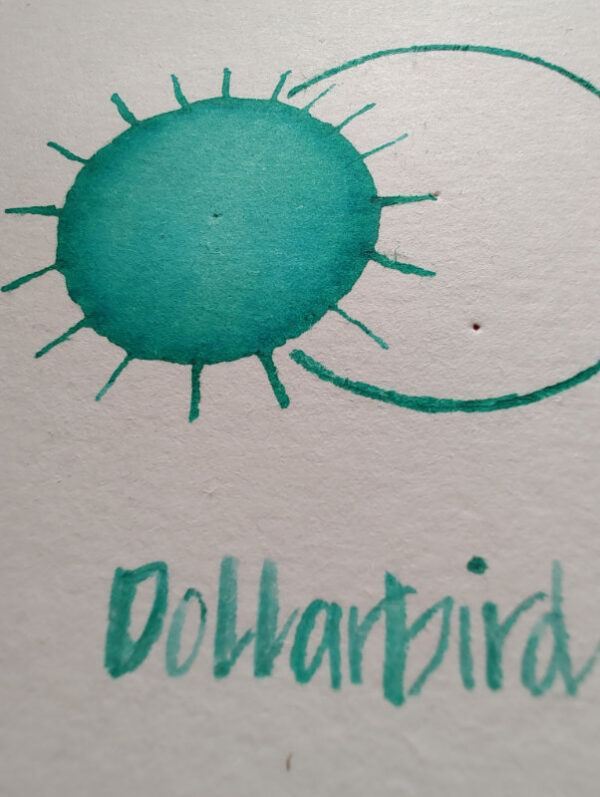 Shanghai Stationary Dollarbird - Afbeelding 4