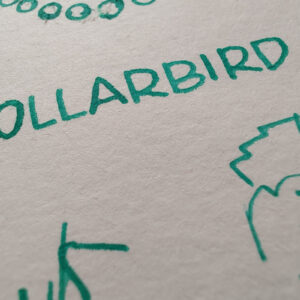 Shanghai Stationary Dollarbird - Afbeelding 7