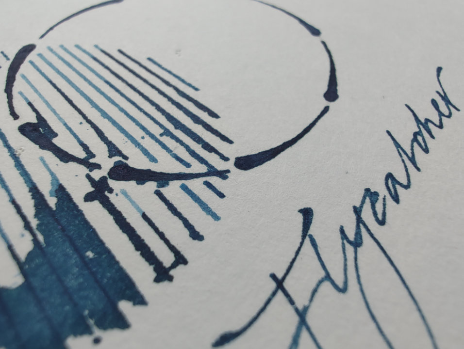 Shanghai Stationary Blue Flycatcher - Afbeelding 5