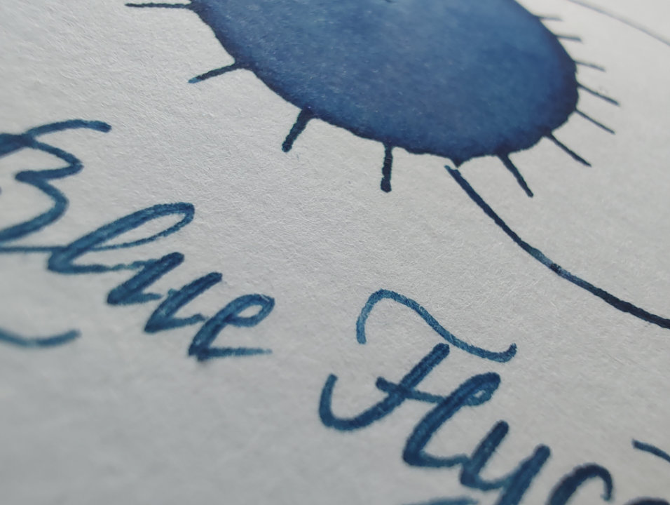 Shanghai Stationary Blue Flycatcher - Afbeelding 4