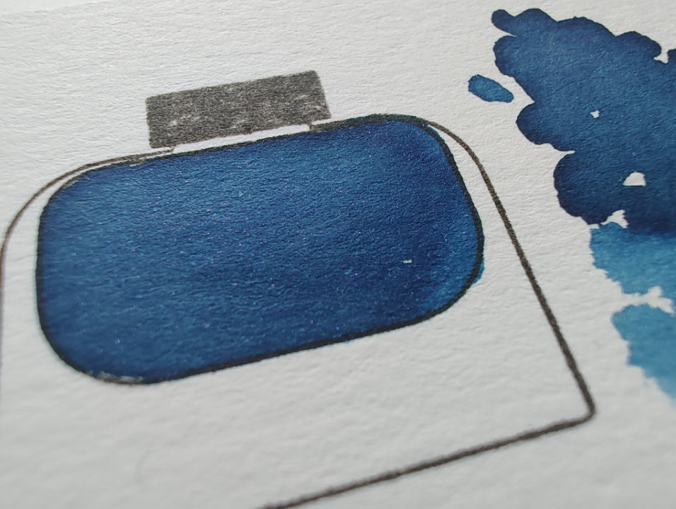 Shanghai Stationary Blue Flycatcher - Afbeelding 6