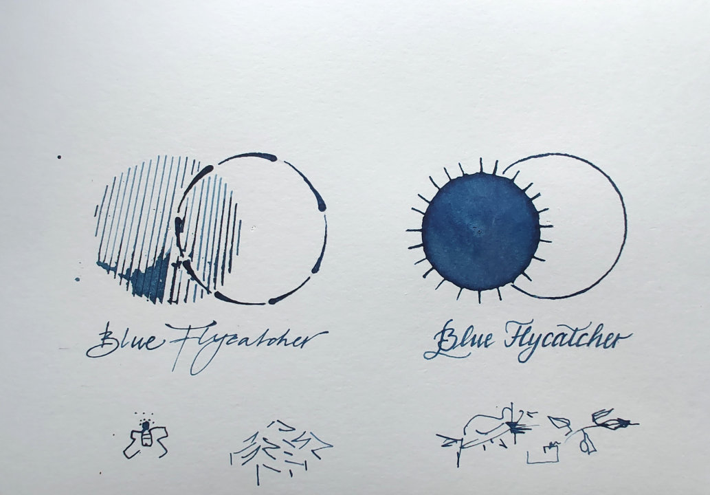 Shanghai Stationary Blue Flycatcher - Afbeelding 2